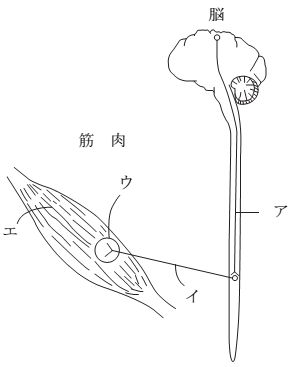 問53の画像