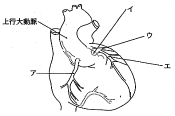 問40の画像